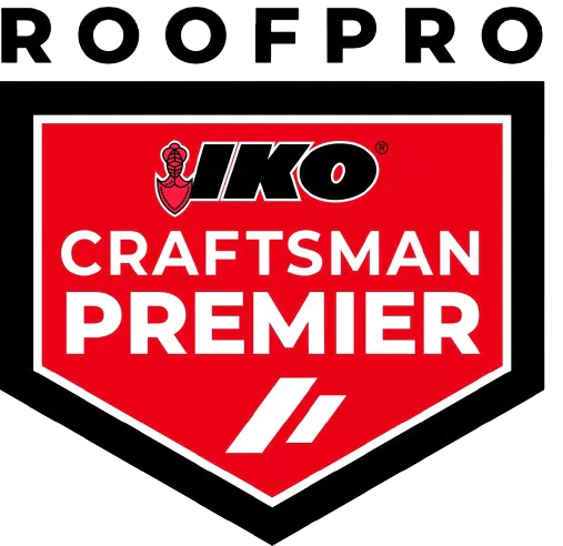 Logo3